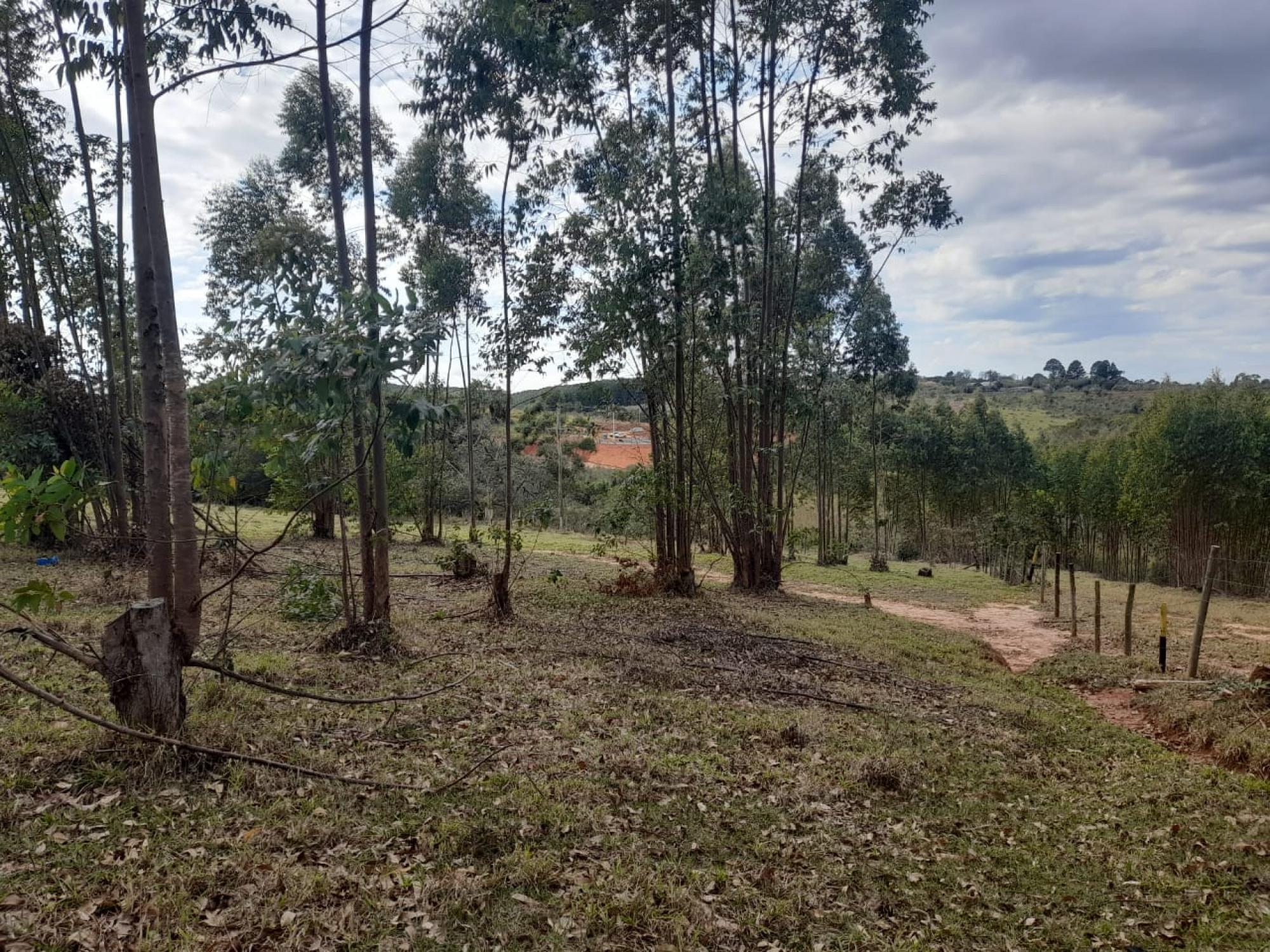 Casa para venda