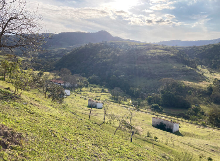 Avaliação de Imóveis Rurais e Urbanos